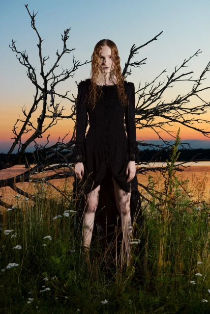 A woman in a long black dress stands in a field of grass and flowers in front of a dead tree, silhouetted against a sunset sky.