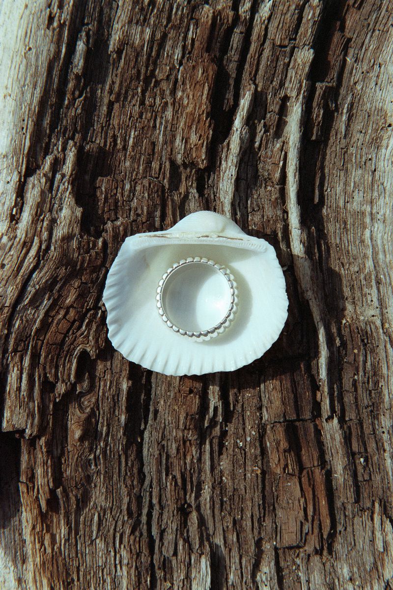 Close-up of a silver ring with beaded detail sitting in a white seashell, resting on a piece of driftwood with visible wood grain.