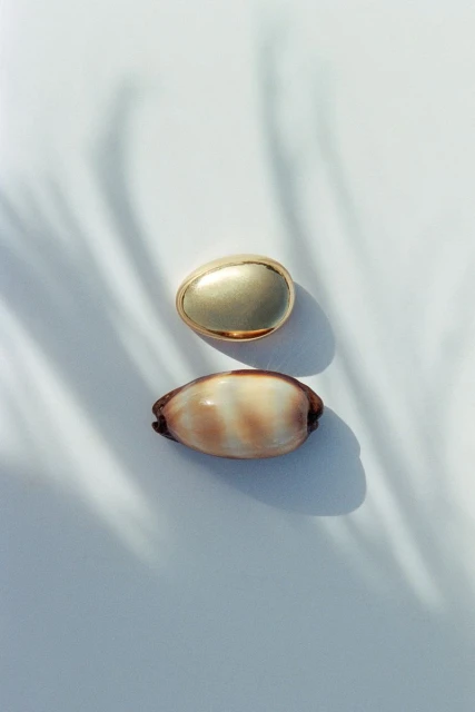 Overhead shot of a gold oval and cowrie shell on a white surface with soft, abstract palm frond shadows, creating a minimalist composition.