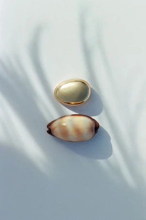 Overhead shot of a gold oval and cowrie shell on a white surface with soft, abstract palm frond shadows, creating a minimalist composition.