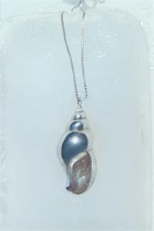 Silver seashell pendant necklace resting on a frozen block of ice with a delicate chain