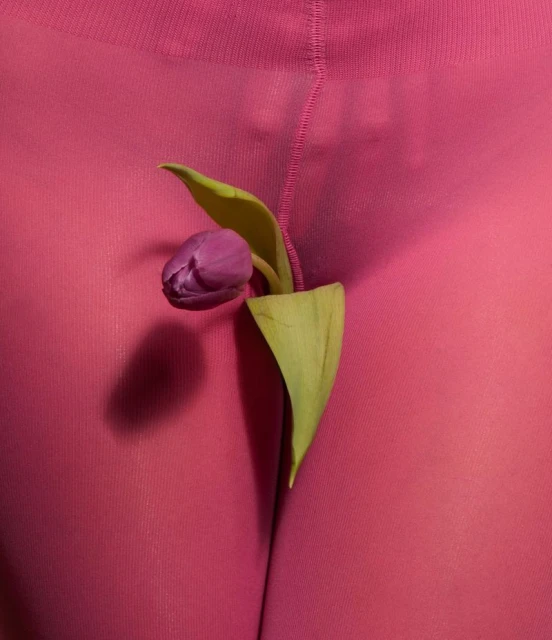 Close-up of a purple tulip flower nestled in pink fabric, highlighting the flower's color and the fabric's texture.