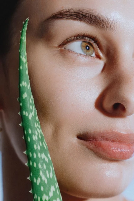 Close-up portrait of an adult female with fair skin, looking away, with a green aloe vera leaf on her face; beauty concept.