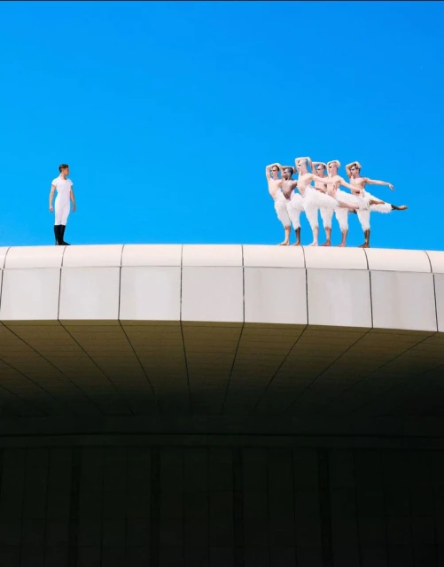Swan Lake