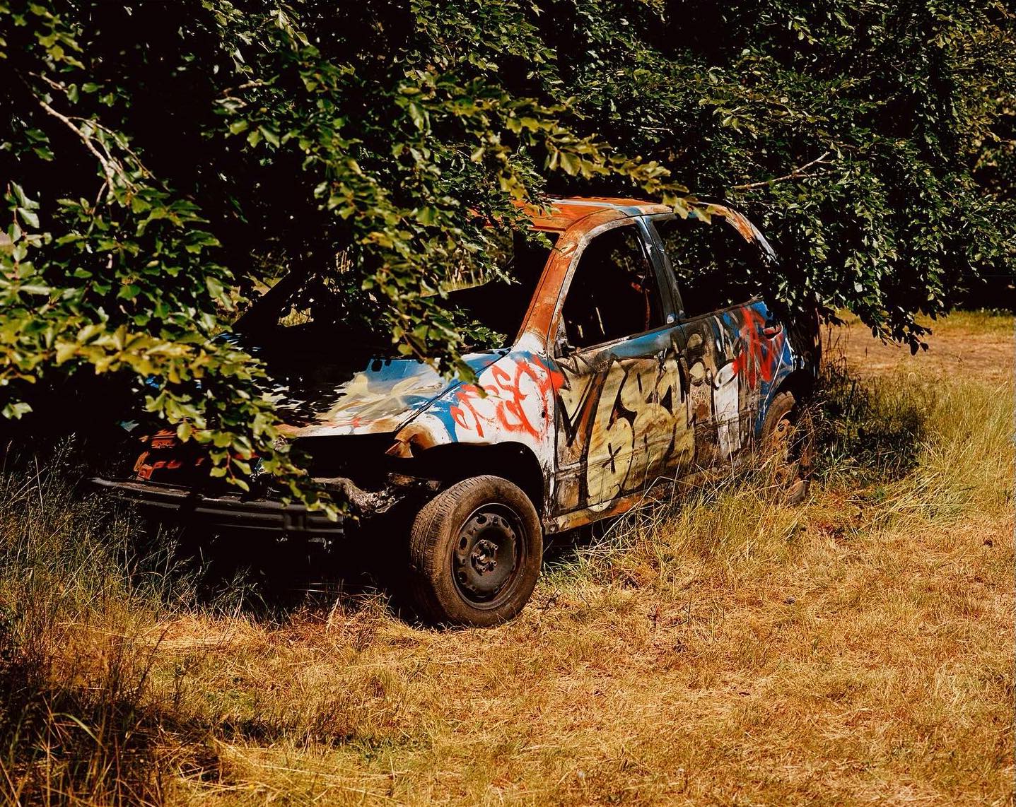 Wrecked car covered in graffiti sits abandoned in a field, partly obscured by a leafy tree, presenting a scene of decay and nature reclaiming.