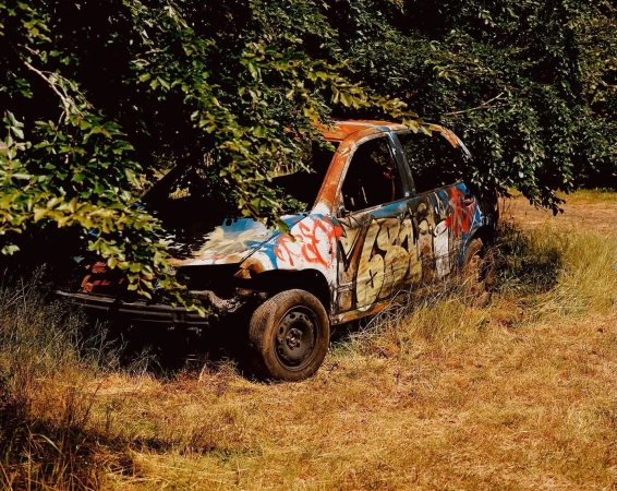 Wrecked car covered in graffiti sits abandoned in a field, partly obscured by a leafy tree, presenting a scene of decay and nature reclaiming.