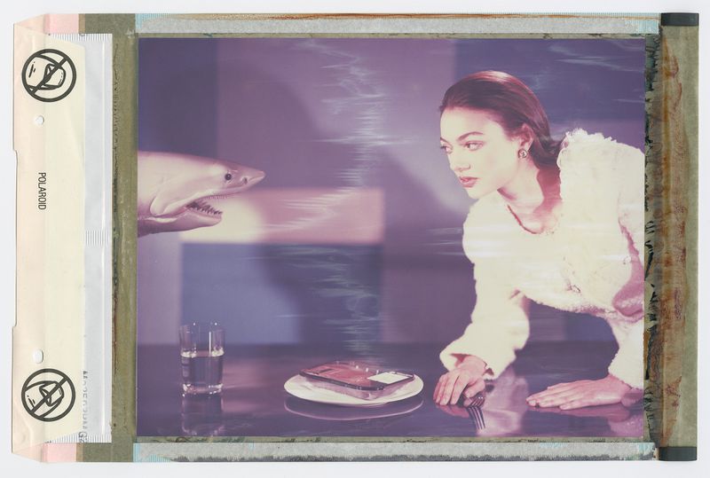 Woman in a white jacket looks at a shark head over a table with a glass of water and a plate of food in a stylized Polaroid.