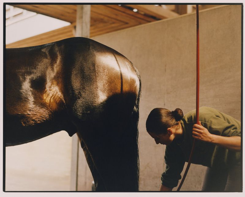 Person washing a dark brown horse with a red hose indoors. Sunlight illuminates the horse's back and highlights the clean animal.
