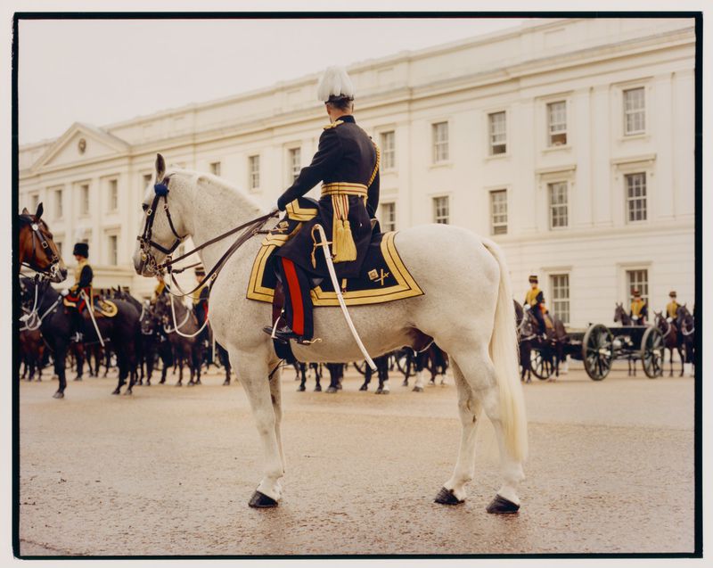 Mounted royal guard in ceremonial uniform on a white horse with other mounted guards and horses, and a white building in the background.