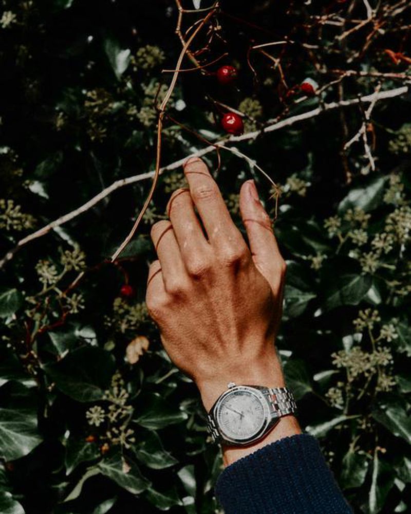 Close-up of a person's arm with a wristwatch reaching toward small red berries on a branch against a backdrop of green foliage.