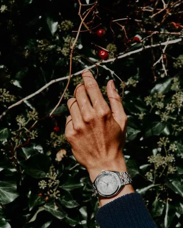 Close-up of a person's arm with a wristwatch reaching toward small red berries on a branch against a backdrop of green foliage.