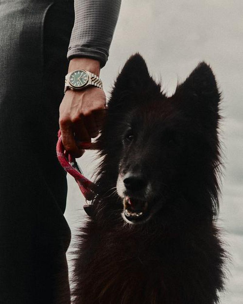 A black dog on a leash stands next to a person wearing a watch and a gray long-sleeved shirt in an outdoor setting under a cloudy sky.