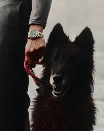 Watches