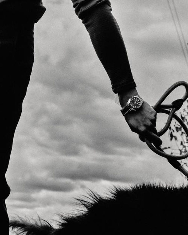 A person wears a wristwatch and holds a rope against a cloudy sky. A dark, furry animal is in the foreground.