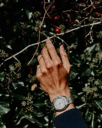 Close-up of a hand wearing a silver stainless steel wristwatch reaching toward red berries on a vine among dark foliage.
