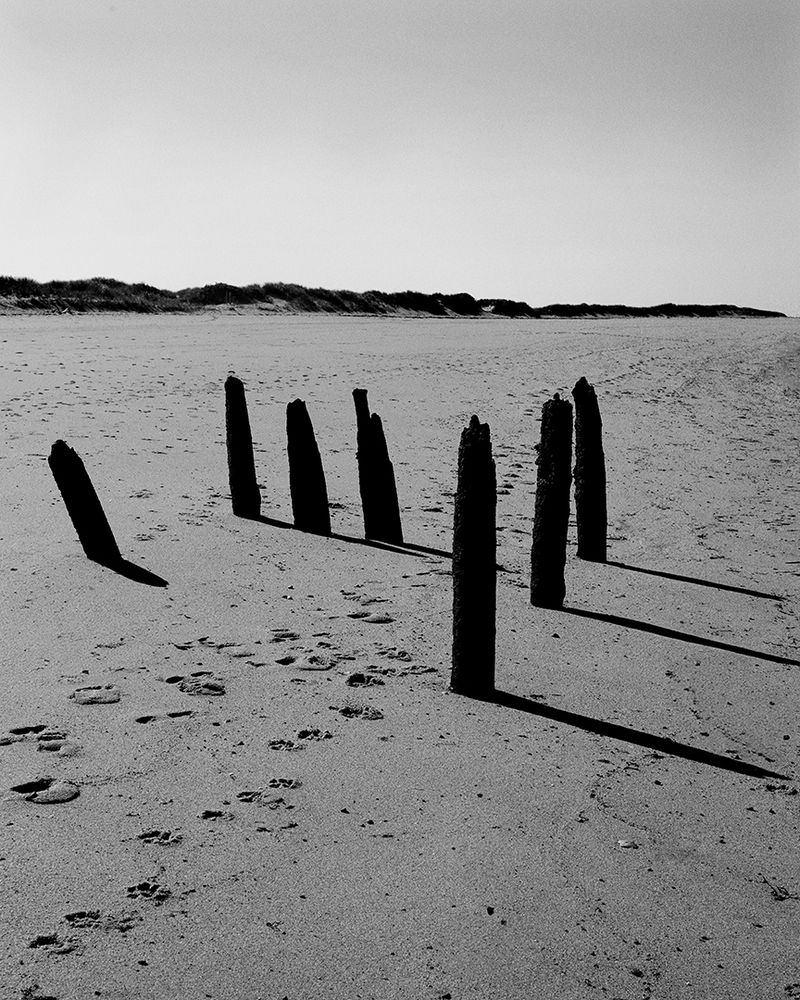 Monochrome photograph of weathered wooden posts on a sandy beach with dunes and sea grass in the background under a clear sky.
