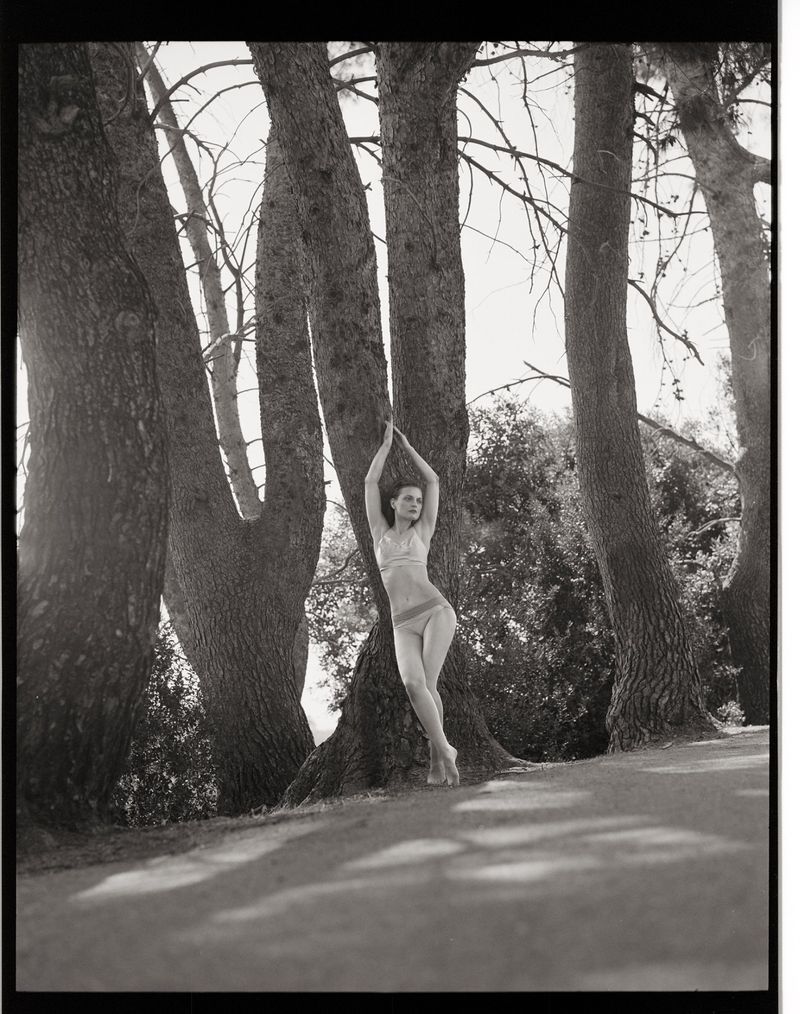 Guinevere van Seenus posing in pale lingerie against tall tree trunks along a path in a black and white fashion editorial.