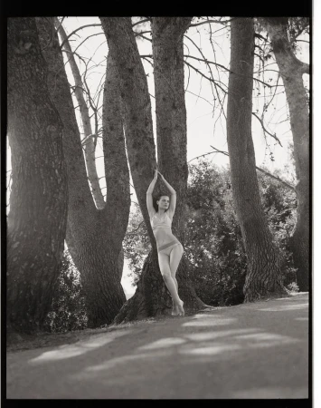 Guinevere van Seenus posing in pale lingerie against tall tree trunks along a path in a black and white fashion editorial.