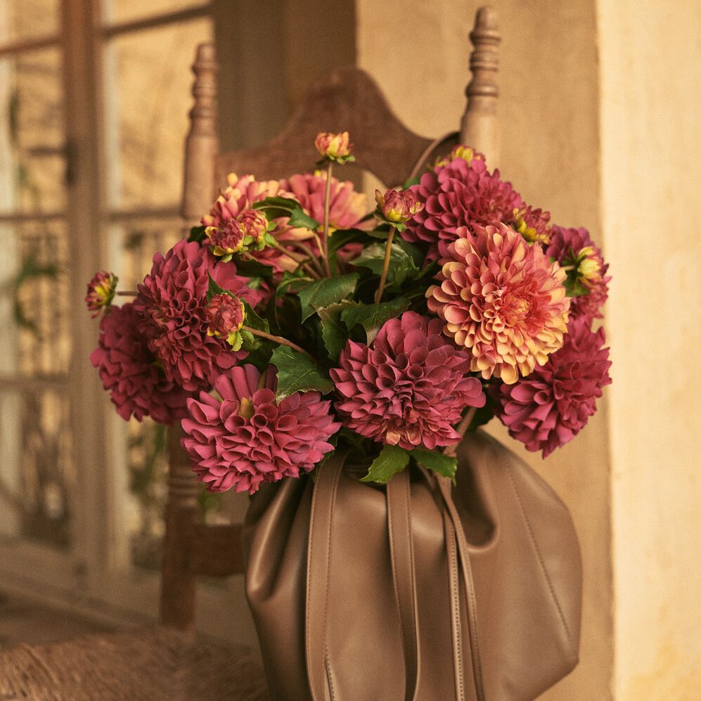 Floral still life: A tan tote bag holds vibrant burgundy and peach dahlia flowers on a wooden chair, set against a neutral wall and window.