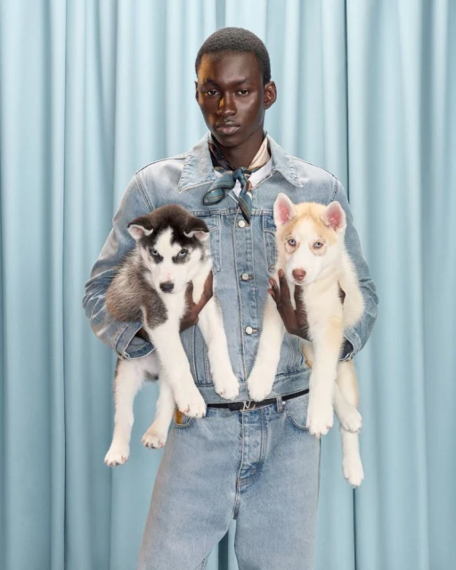 An adult man holds a husky puppy in each arm while posing in front of a light blue curtain wearing a denim jacket and jeans.