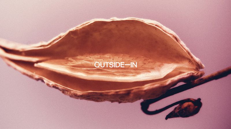 Close-up of a dried seed pod on a twig against a muted pink background, showcasing natural textures and the inscription 'OUTSIDE-IN'.