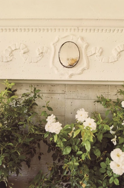 White roses and green foliage surround an antique mirror on a mantelpiece, creating a serene indoor still life scene.