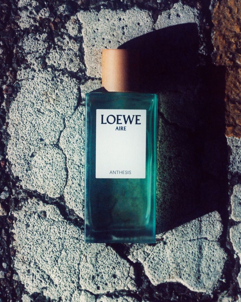 Loewe Aire Anthesis perfume bottle on a textured gray stone surface with a light brown cap and a shadow.