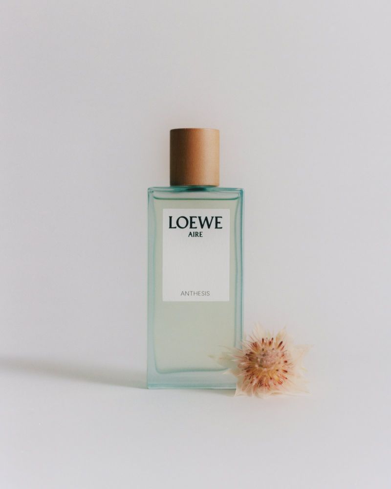 Loewe Aire Anthesis perfume bottle sits beside a small beige flower against a white background in a studio shot, enhancing the product's allure.