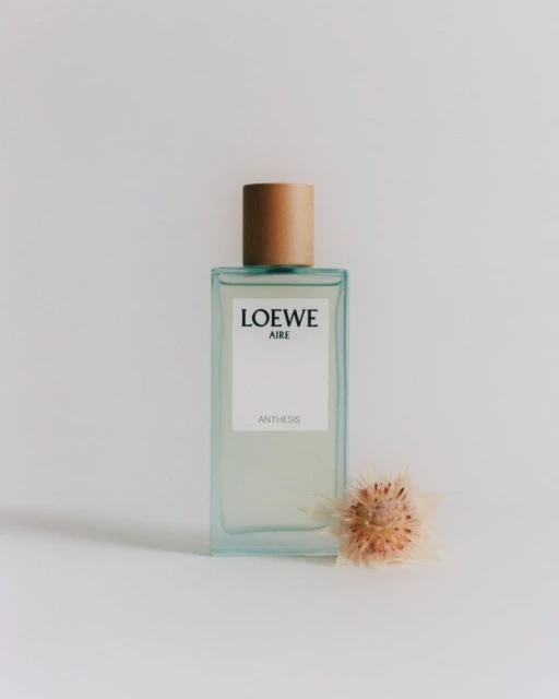 Loewe Aire Anthesis perfume bottle sits beside a small beige flower against a white background in a studio shot, enhancing the product's allure.