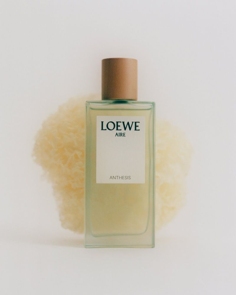 Loewe Aire Anthesis perfume bottle on light background with yellow sponge. Elegant square bottle with a wooden cap. Beauty photography.