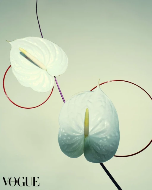 In Bloom Yang Zi