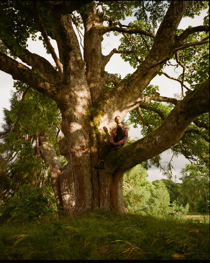 A person sits in a large tree with a thick trunk and many branches. The person is surrounded by green grass and foliage in a natural setting.