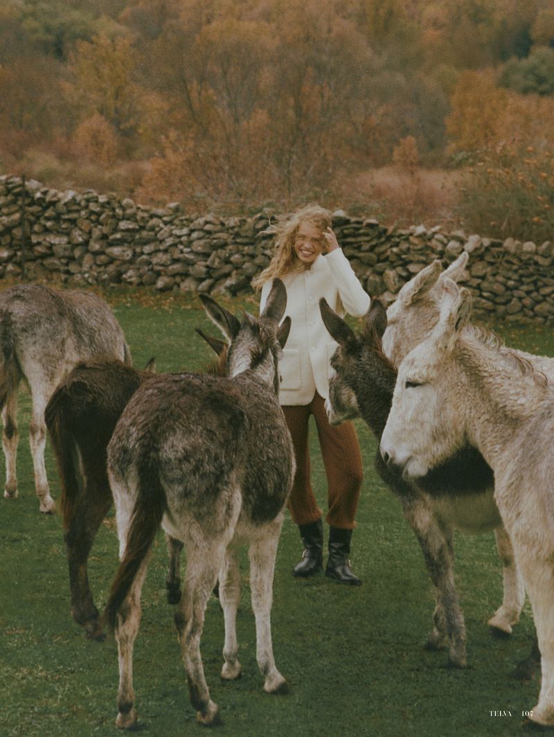 Blonde woman interacts with donkeys in a rural field with a stone wall and fall foliage in the background, wearing a white jacket.