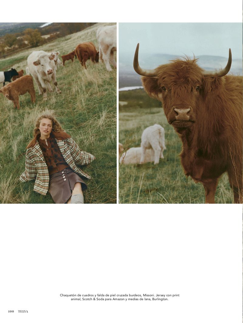 A woman in a plaid coat lounges on a grassy hill amidst a herd of cows in a rural setting, next to a close-up of a Highland cow.