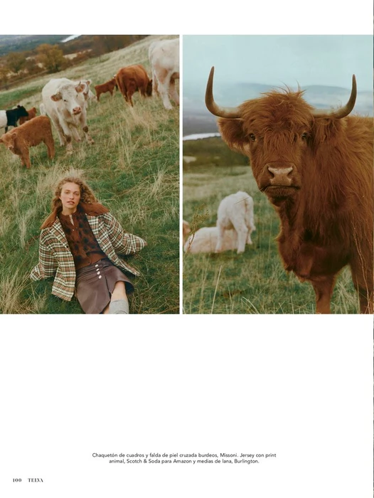 Model wearing a plaid jacket and skirt sitting in a grassy field with cows, paired with a close-up of a brown highland cow in a meadow