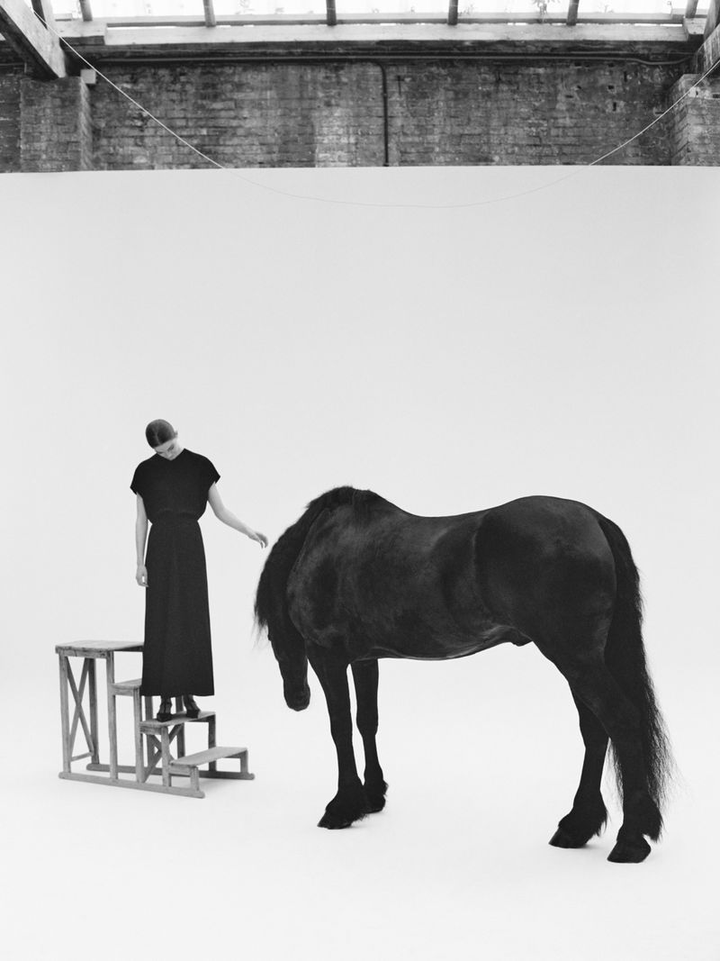 Black and white studio shot featuring a woman on a wooden step stool reaching towards a black horse, set against a minimalist backdrop.