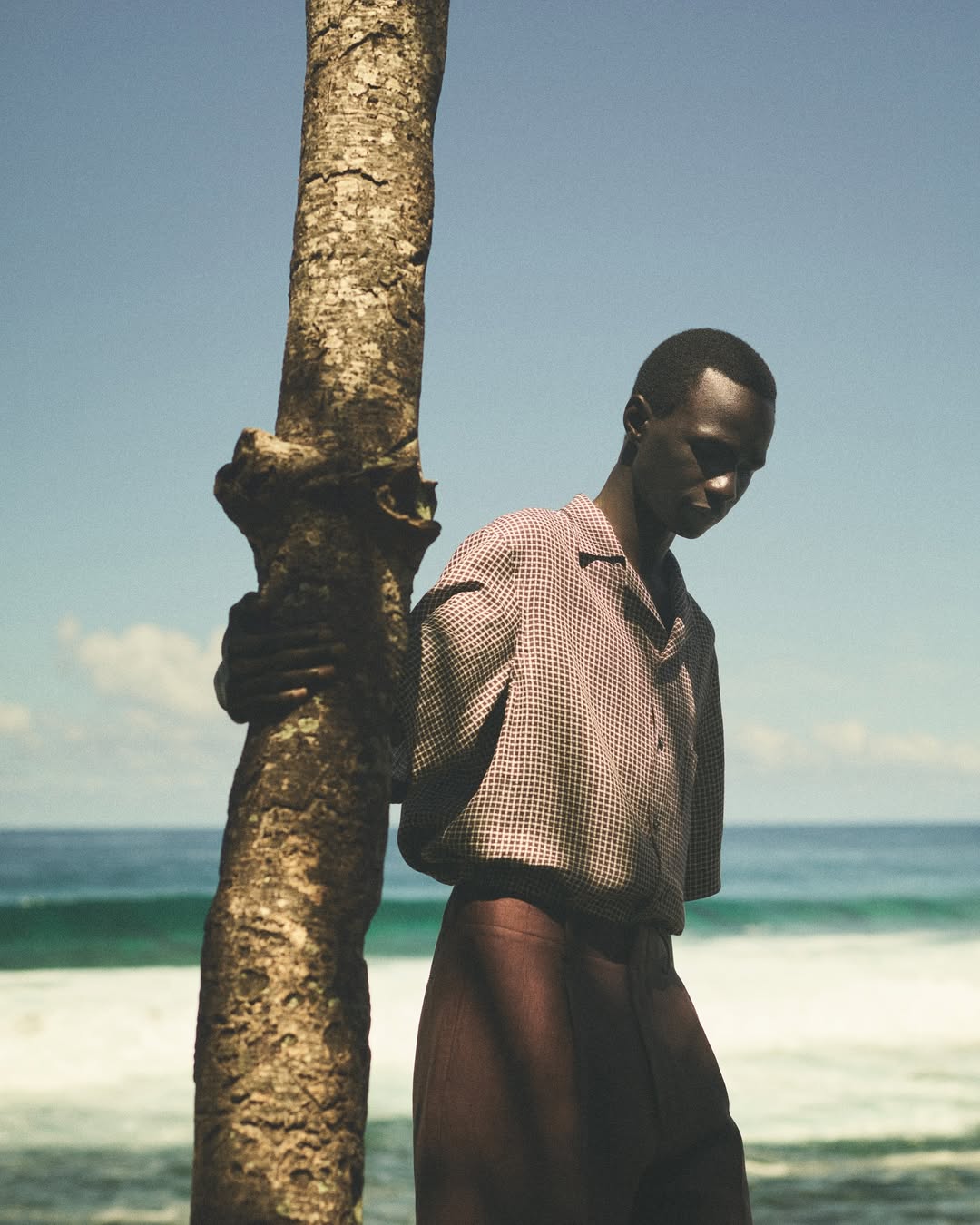 Young man in patterned shirt stands by tree trunk on a sunny beach with blue sky and ocean waves in the background.