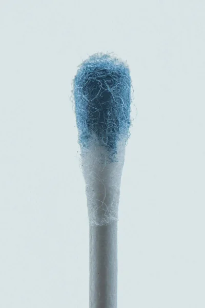 Close-up of a cotton swab tip stained with blue texture against a light background