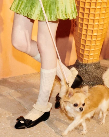 Chihuahua dog on leash with girl in green skirt and black flats. Beige socks and light pink leash coordinate in fashion shot.