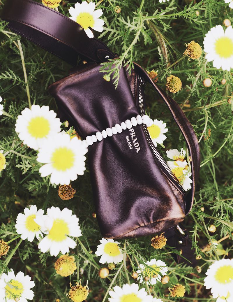 Brown leather Prada handbag surrounded by white daisies and green foliage in an outdoor setting, fashion accessory.