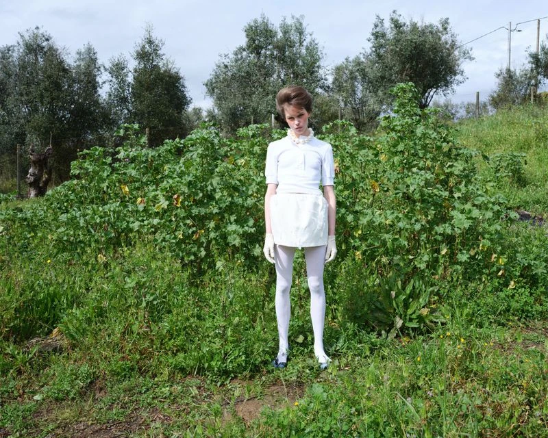 Northern Summer