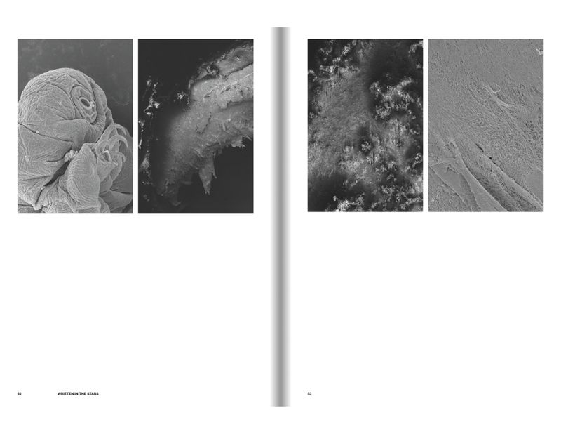Monochrome image features four distinct textures, possibly from microscopic or celestial sources, displayed in a diptych format.
