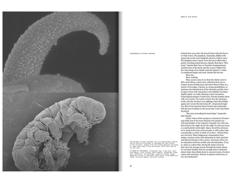 Microscopic image of a water bear, also known as a tardigrade, showcasing its unique morphology and adaptation to extreme environments.