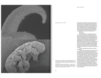 Microscopic imagery featuring a tardigrade claw and textured scientific specimens across a two-page magazine layout spread.