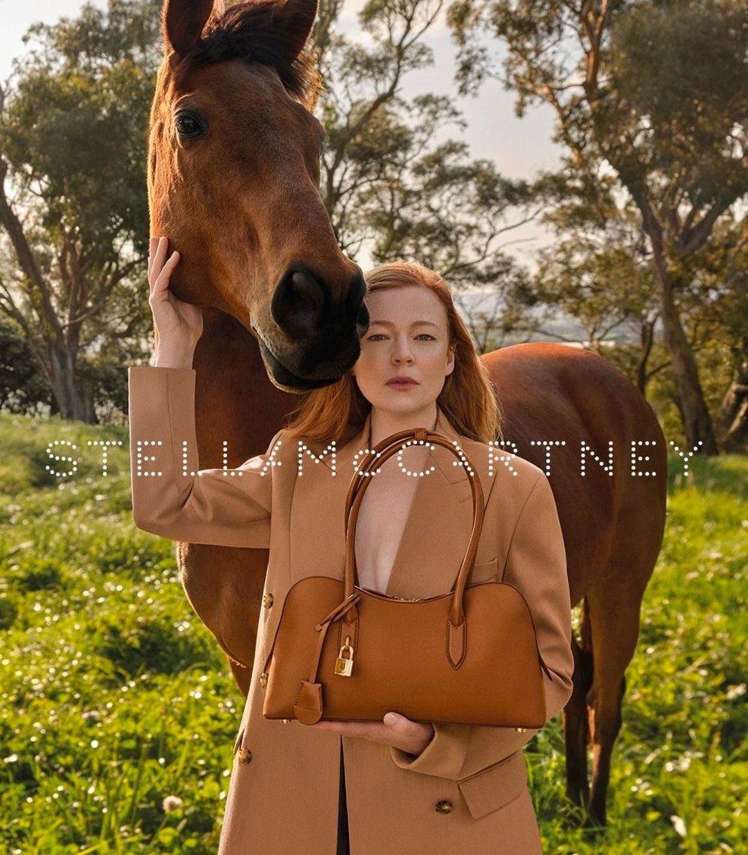 A woman in a tan blazer holds a brown leather handbag, standing next to a brown horse in a grassy field under a bright sky.