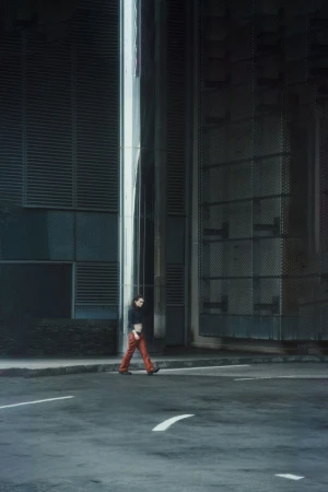 Snow Crash