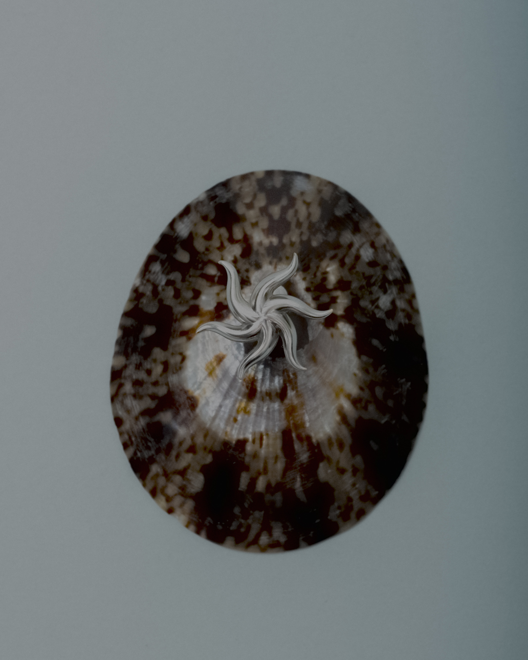 Close-up shot of a sea shell with a silver sea star on top, set against a soft blue backdrop, creating an ocean-themed visual.