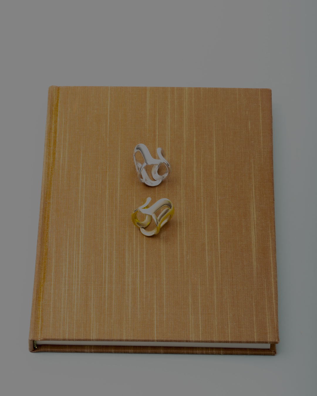 Book with two abstract rings, one gold and one silver, creating a minimalist still life showcasing jewelry design and craftsmanship.