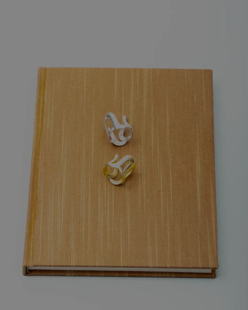 Book with two abstract rings, one gold and one silver, creating a minimalist still life showcasing jewelry design and craftsmanship.