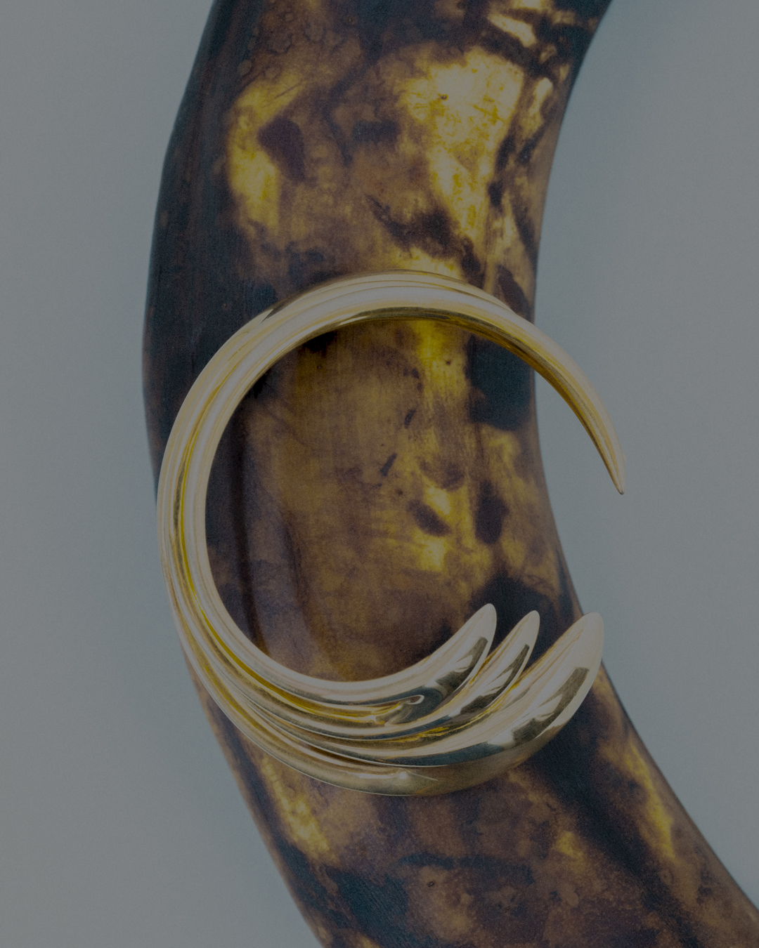 Close-up studio shot of an aged banana with a gold bracelet resting on its surface, showcasing decay and luxury in contrasting textures.